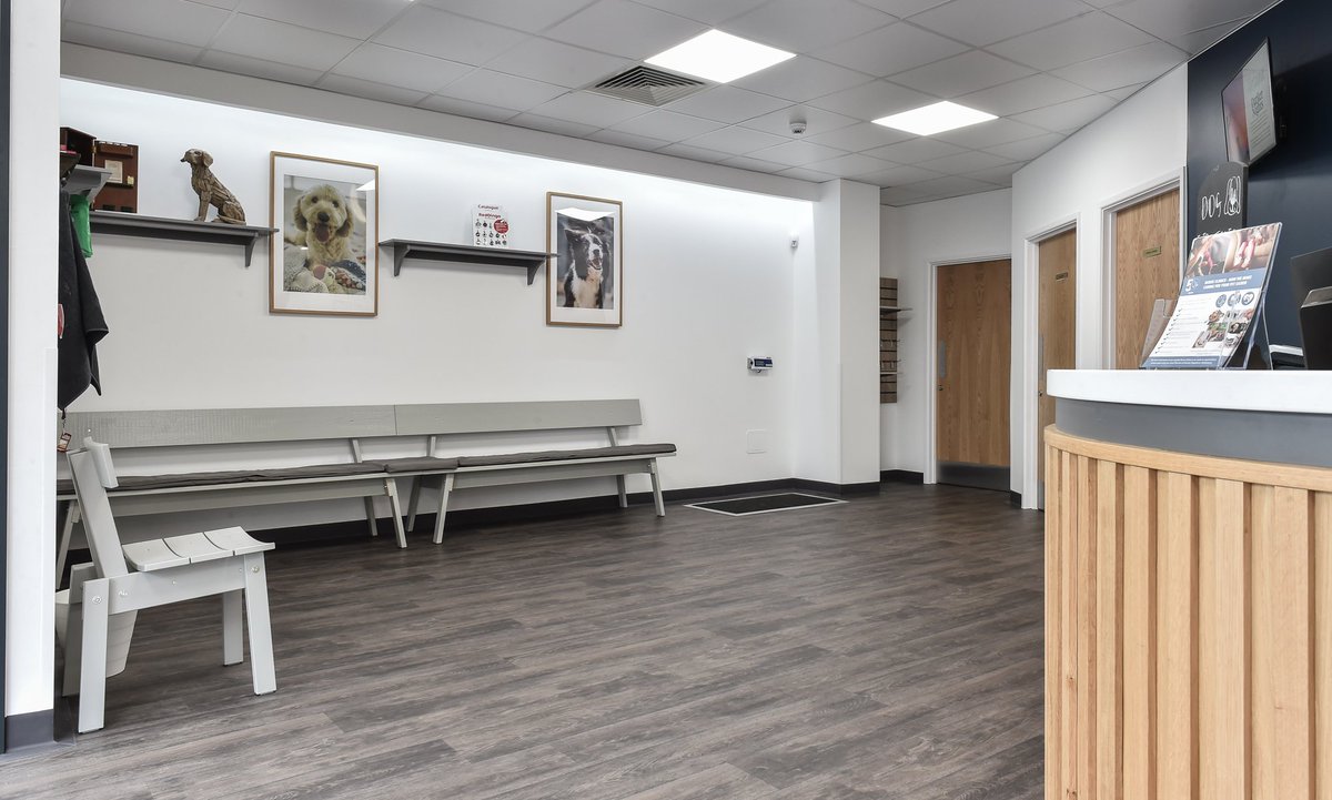 westhart_p's tweet image. West Hart Photos: Did you know we also do healthcare for 4 legged creatures as well as 2?! Here&apos;s a recently completed refurbishment scheme we completed for a vets practice in Surrey #vets #architecture #veterinarydesign