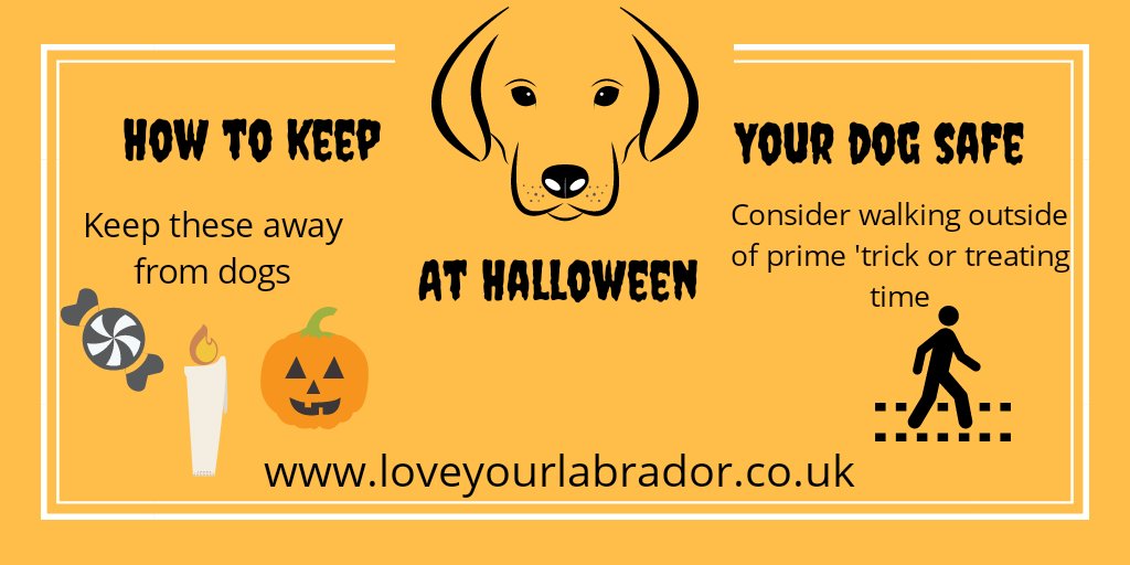 Poster on how to keep your dog safe at Halloween