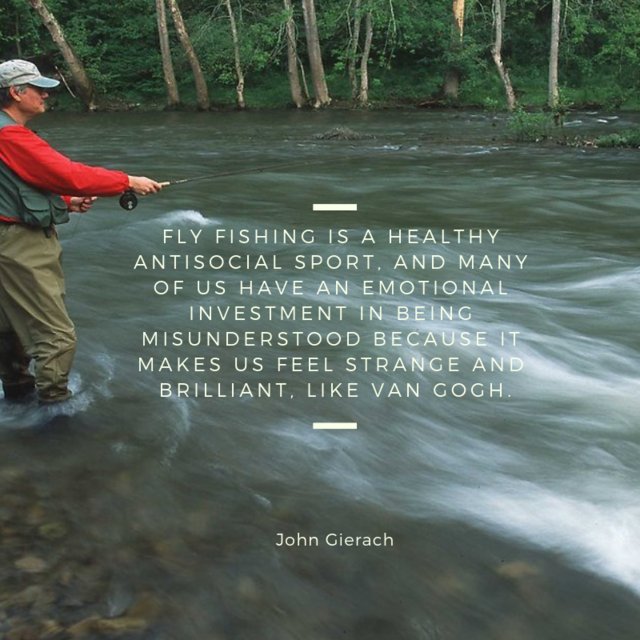 thefishingtree's tweet photo. #fishing #quotesoftheday #fishinglife #fishingtrip #fishingquotes #fisherman #outdoor https://t.co/E3y8SFwr0z