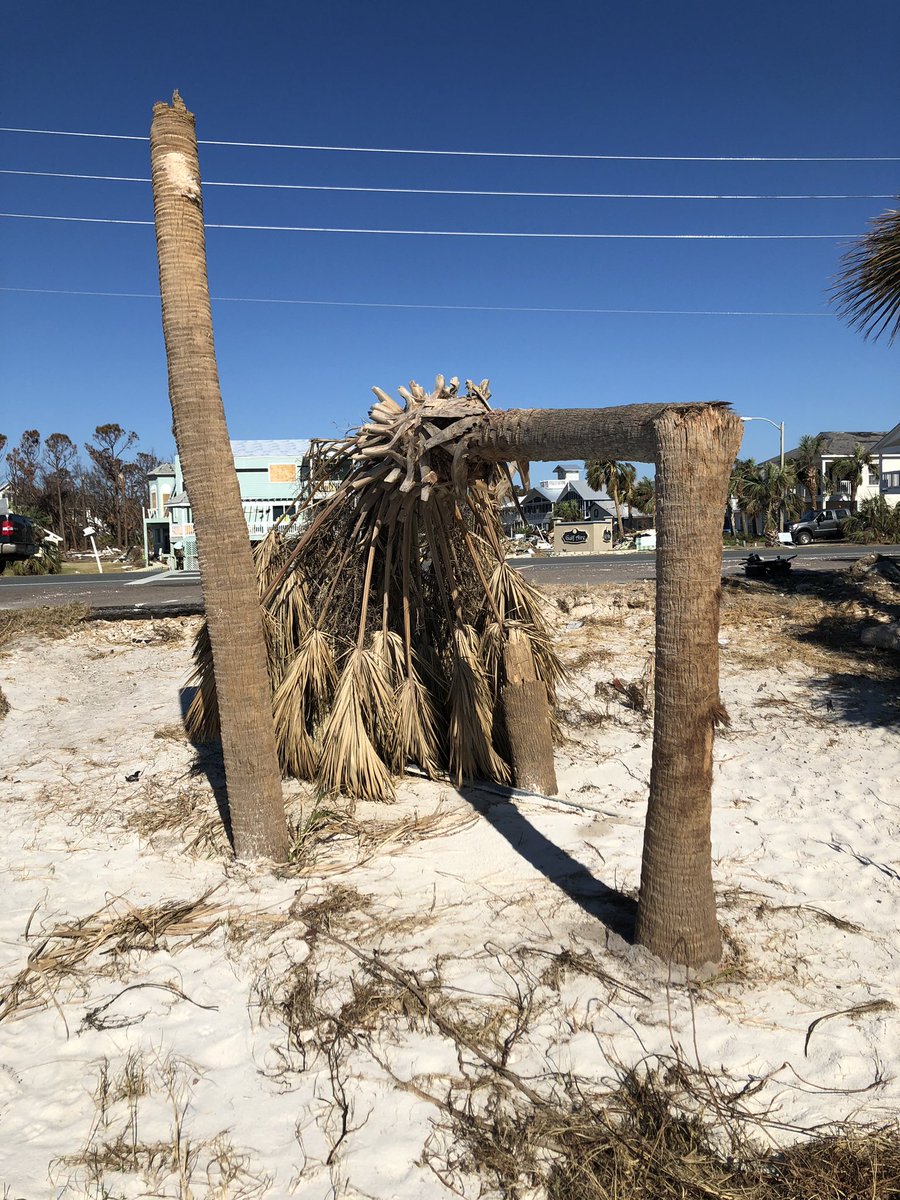 NanoBio_Sensors's tweet photo. Still trying to find the words to express the situation in Mexico Beach. For today pictures will have to suffice. Please do all you can to help. Today marks 3 weeks since Michael @hydroKati @UF_ABE @G2EPlants @Sci4BetterWorld @ufwater #PanhandleStrong https://t.co/g6fdttahV6