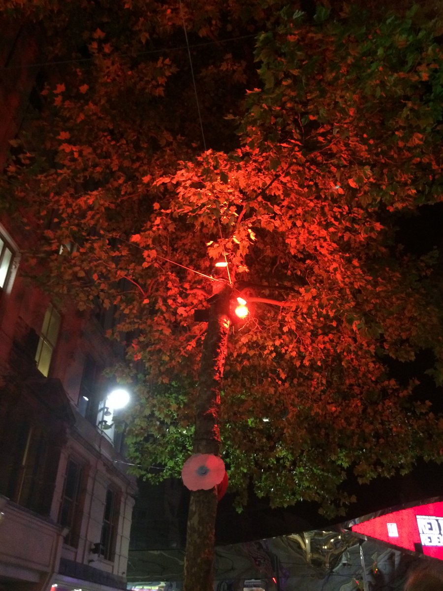 WMRFCA's tweet photo. Has anyone seen the new red poppy tree lights around New Street, Temple Street and the High Street in #Birmingham city centre? The lights have been put up to mark the centenary of the #WW1 Armistice and support the work of the @PoppyLegion. Read more here: https://t.co/eW7r6fJq2p https://t.co/xS09WhPFsX