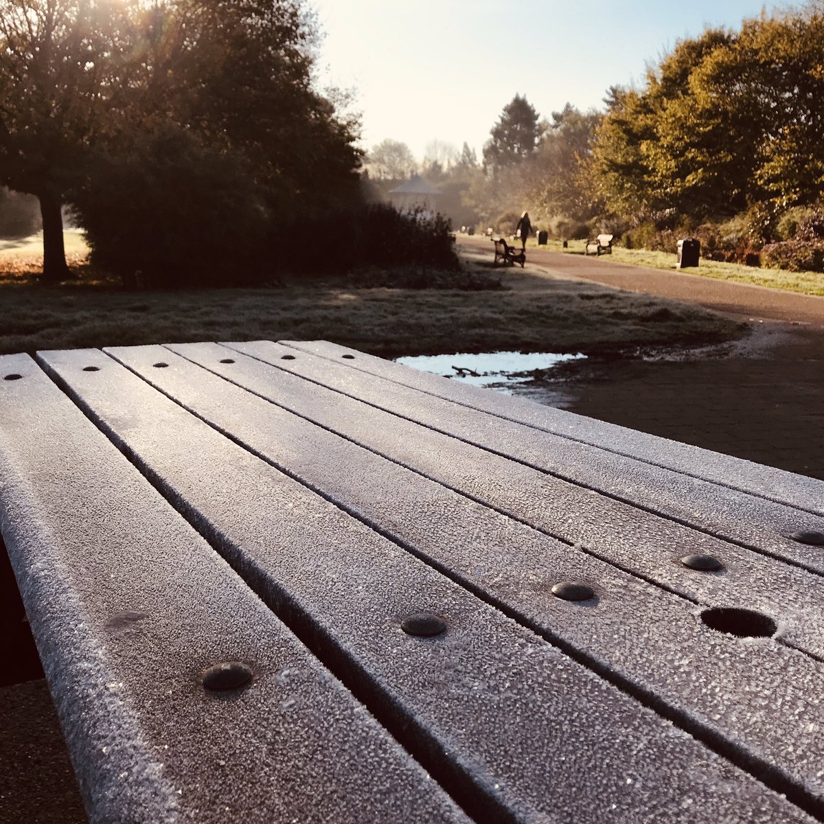 Invisinetwifi's tweet image. Well done to our iPad group today. Thirsty for tech knowledge and #coffee. Bookmarking pages, flagging emails and downloading podcasts. A lovely autumn morning in the park. #inclusion #technology #learning