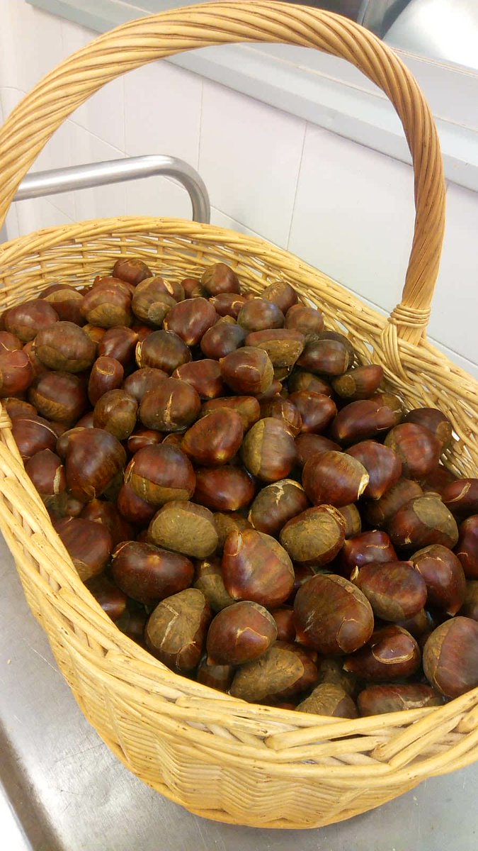 A punt per entrar al forn...molt bona castanyada a tothom!!!🍁🍁🍁 <a href="/EscolaVirolai/">Escola Virolai</a> @CIvirolai @AMPAVirolai <a href="/EscolaReina/">EscolaReinaElisenda</a>