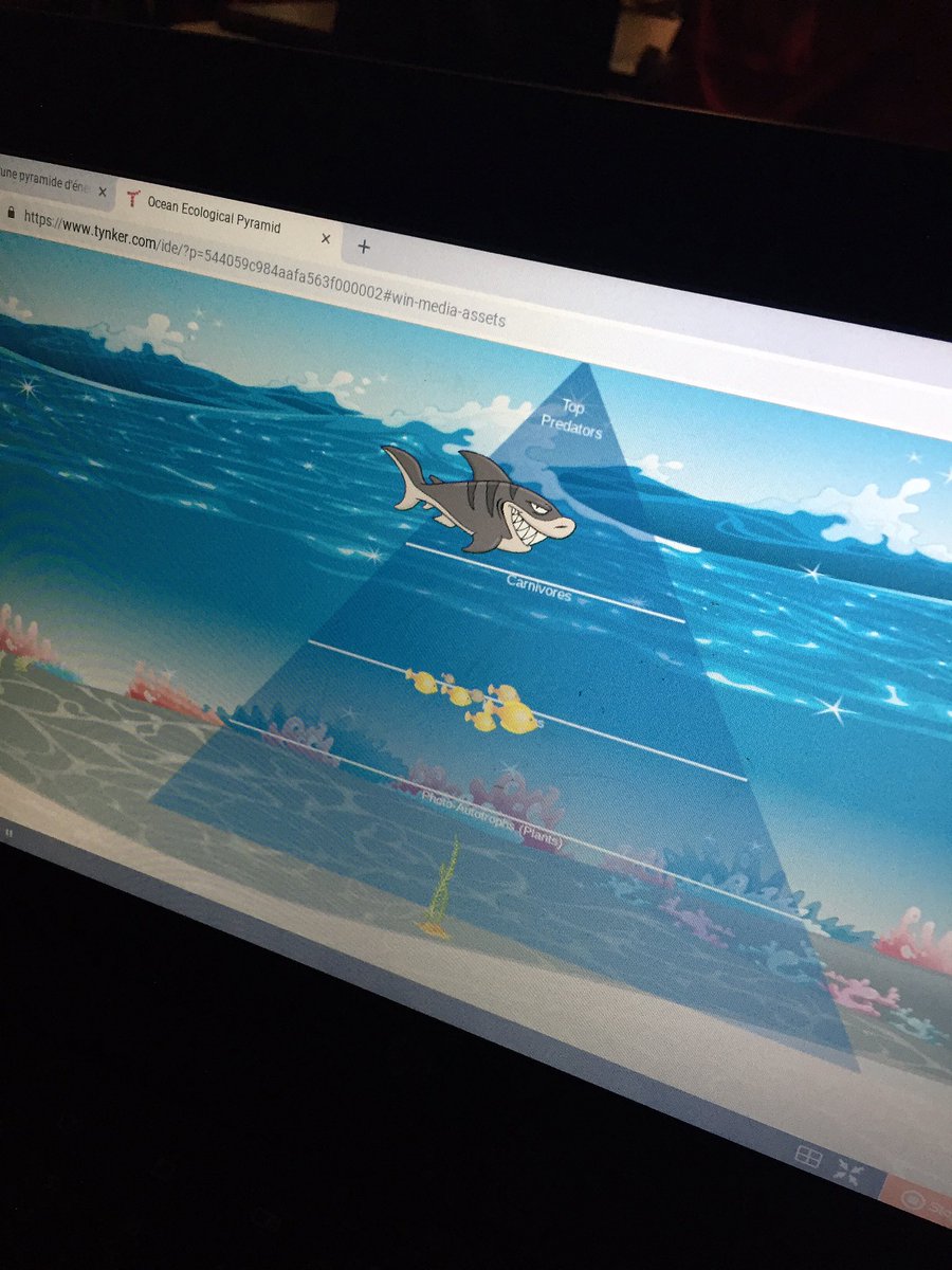VillanovaSchool's tweet image. Ms. Tilley’s 7-1 Science class using #Tynker to code food chains! #CodetoLearn @NLESDCA @nltatesic @nlta_mssic