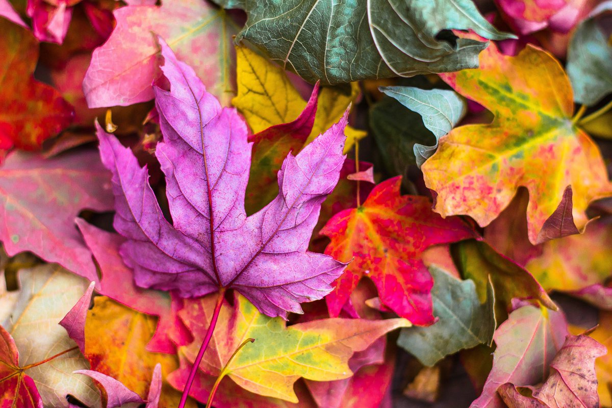EIKORAde's tweet photo. Wir brauchen Platz im Lager! Waschtische, Armaturen, Badaccessoires, Tische, Stühle &amp; mehr stark rabattiert. Bis 30.11.2018 shoppen &amp; sparen! Mehr als 200 Artikel mit bis zu 54% Rabatt: https://t.co/v1btHEI1kE #sale #angebote #möbel #badezimmer #lager https://t.co/j2ehI2FAOT