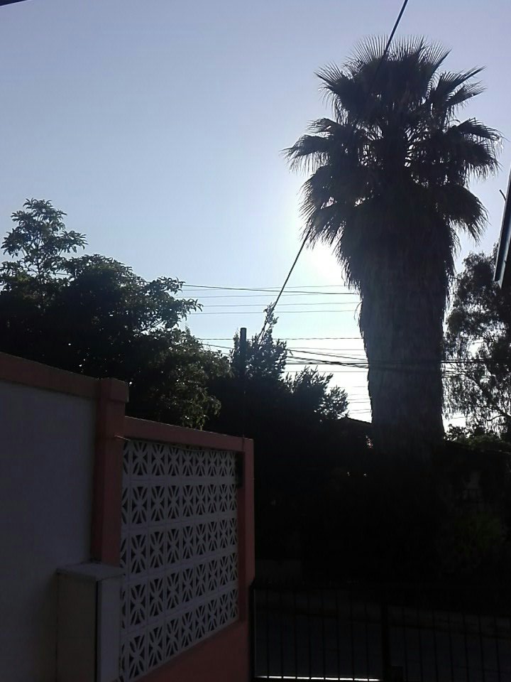 PabloLarran3's tweet photo. #MuchoGustoMega en Quilpué amaneció maravilloso. Gracias por alegrar la mañana. José ríete un poco ✌️ https://t.co/apf7uHQCdd