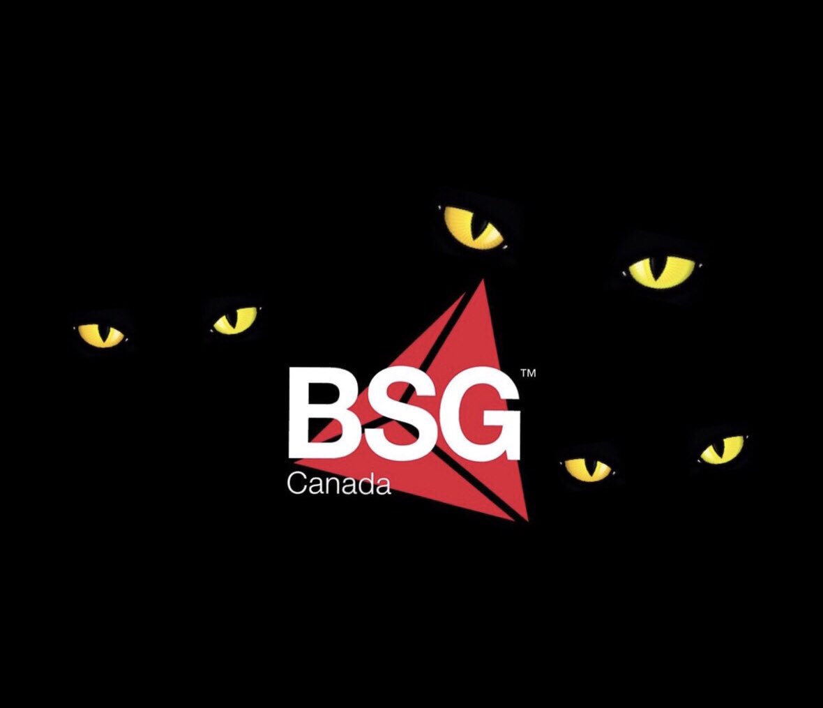 🕸🕷 Happy Hallowe’en!!!