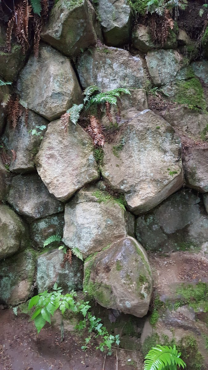 wetlandsoil's tweet photo. Amazing #columnarstructure near Enumclaw WA (Cal Magnusson Trail). More to come soon from the #wetlandteam who have been busy sampling #wetland vegetation and #hydricsoils in multiple regions during the last few weeks. #mudmountain @ArmyERDC @el_erdc_uo @SeattleDistrict https://t.co/Yl2MpnWuJz