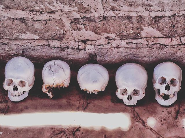 UntappedTravel's tweet photo. Skulls in the Nazca Desert watch the tourists. Robbers have disturbed the graves and now the bones bleach in the desert sun.

#grave #creepy #halloween #skeleton #skull #southamerica #nazca #peru #backpackers #adventuretravel #backpacking #untappedtravel… https://t.co/ySnmqD35vs https://t.co/ocR7CyX1tC