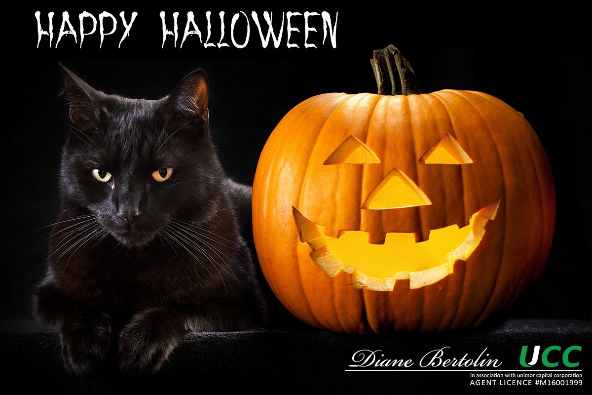 DianeBertolin's tweet photo. Happy #Halloween to everyone! I look forward to seeing families enjoying their traditions on this festive day.
#YQG #Burlington #MortgageBroker #MortgageAgent #ForgetTheBank https://t.co/8BJh6wrEbr