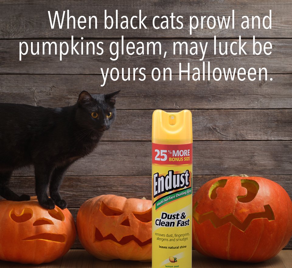 Endust's tweet photo. Happy Halloween from all of us at Endust! https://t.co/vswZxS6BY6