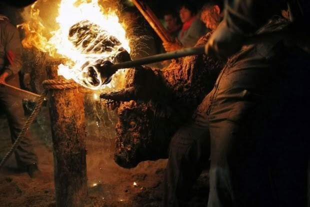 sangesnicola's tweet photo. Tutto sotto il nome della "tradizione".
Il secondo Sabato di Novembre, a Medinaceli (Spagna), un giovane Toro viene portato in piazza e le sua corna cosparse di materiale infiammabile perché sia bruciato vivo. Tutto questo è disumano.
La Tauromachia è una vergogna per l'umanità. https://t.co/GJyqxa6oYU