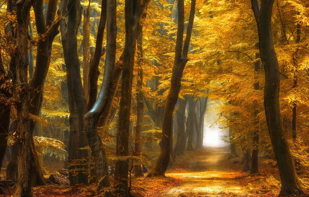 Let yourself be silently drawn by the strange pull of what you really love.
It will not lead you astray.

Rumi