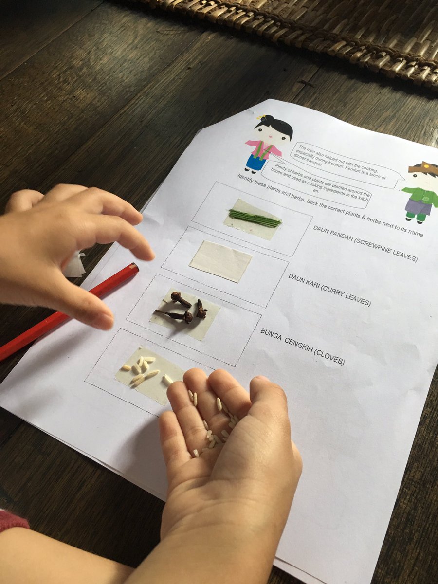 HISYear3 tweet media