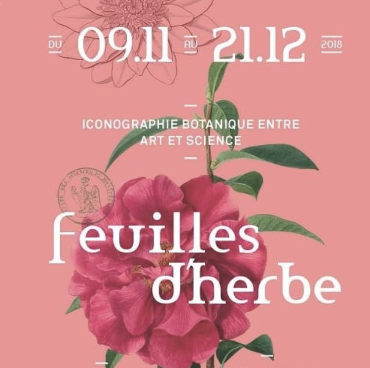 Herbier Montpellier Université MPU (@herbier_mpu) on Twitter photo Plus que 2000€ à récolter aujourd’hui pour lancer la sauvegarde de l’herbier ! Et dans quelques jours vous pourrez admirer à la faculté de médecine <a href="/umontpellier/">Université de Montpellier</a> un aperçu des collections de l’herbier #herbier #botanique #montpellier #nature Plus que 2000€ à récolter aujourd’hui pour lancer la sauvegarde de l’herbier ! Et dans quelques jours vous pourrez admirer à la faculté de médecine <a href="/umontpellier/">Université de Montpellier</a> un aperçu des collections de l’herbier #herbier #botanique #montpellier #nature