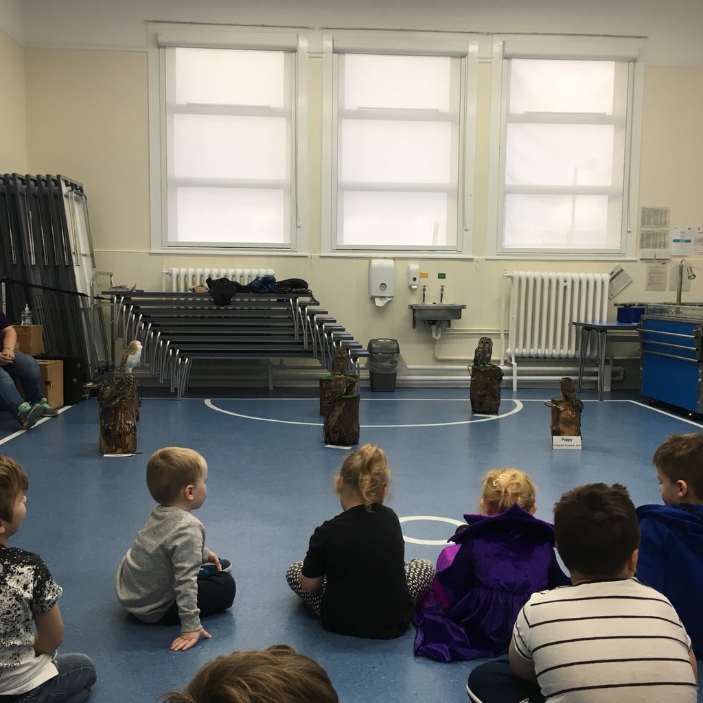 MissRossTeach's tweet photo. Today we had owl magic in! We talked about safety with animals and we were even able to make some connections to our science lesson this week about food chains🦉 Love it when our learning all comes together!👍🏼 #OwlMagic #Halloween #Spookyanimals @FishertonPS https://t.co/7pB7d6GCJW