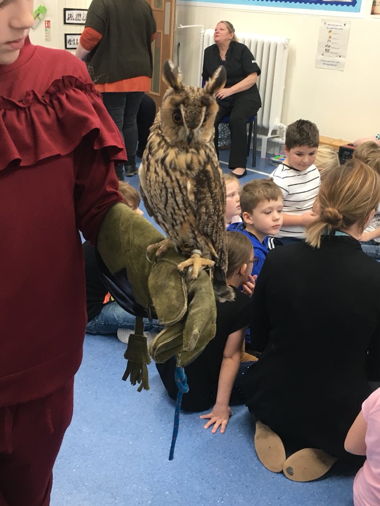 MissRossTeach's tweet photo. Today we had owl magic in! We talked about safety with animals and we were even able to make some connections to our science lesson this week about food chains🦉 Love it when our learning all comes together!👍🏼 #OwlMagic #Halloween #Spookyanimals @FishertonPS https://t.co/7pB7d6GCJW