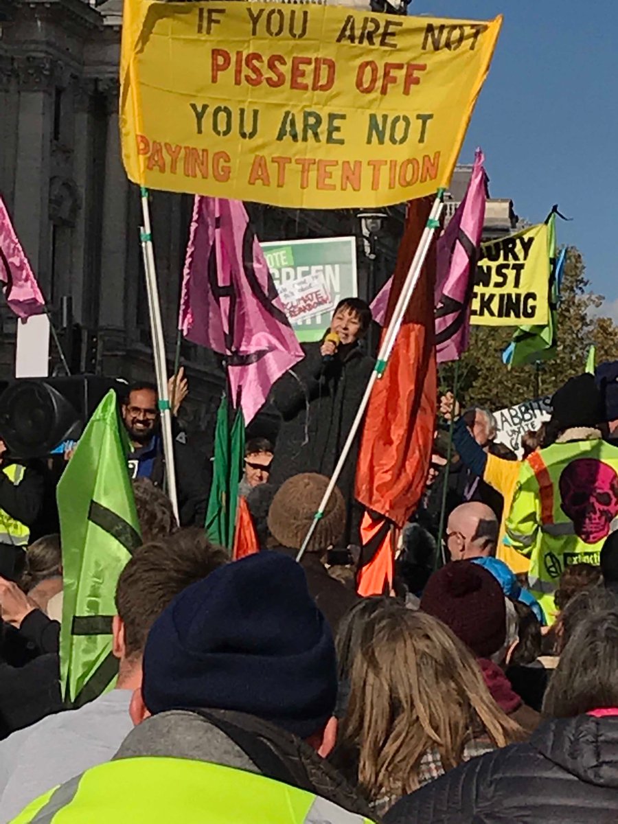 carajenkinson's tweet image. ⁦@CarolineLucas⁩ inspiring the crowds ⁦@ExtinctionR⁩