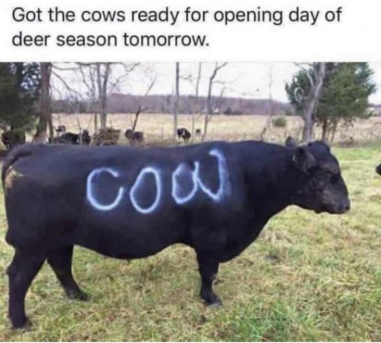 Have you got your cows ready for deer season?