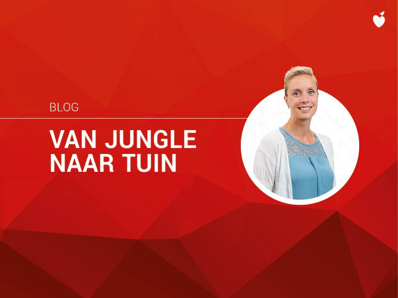 Wie zijn de wijkconsulenten van de Veste en wat maken ze mee tijdens hun werk? Wijkconsulent Lisette van bijt de spits af en neemt je met deze blog mee de tuin in! @wijkconsulent <a href="/vechtdal/">Vechtdal - Hardenberg</a> 
bit.ly/2yIOhxW