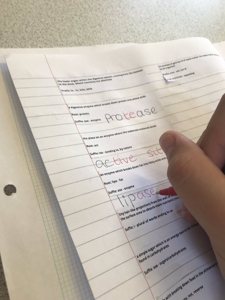 Her own choice... Alana is revising the Digestion topic using an @LexonikST approach. #literacy