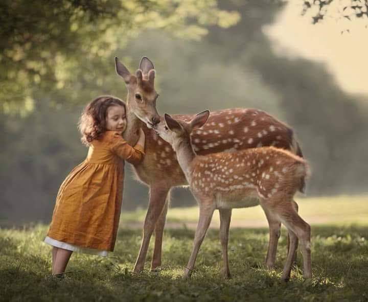 wajdan_e_ishq's tweet photo. انا تمہیں تم سے دُور .. اور .. محبت تمہیں تم سے ملانے آتی ہے..! https://t.co/o6qDdm7yJU