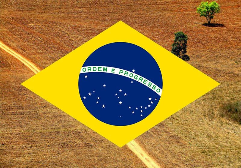 OlafAssis's tweet photo. Só lembrando que ao perder o verde, perderemos o azul Vão conseguir o que querem, a bandeira será amarela. Só que ninguém vive de Sol. #MMASIM https://t.co/zMXbfRW8Vg