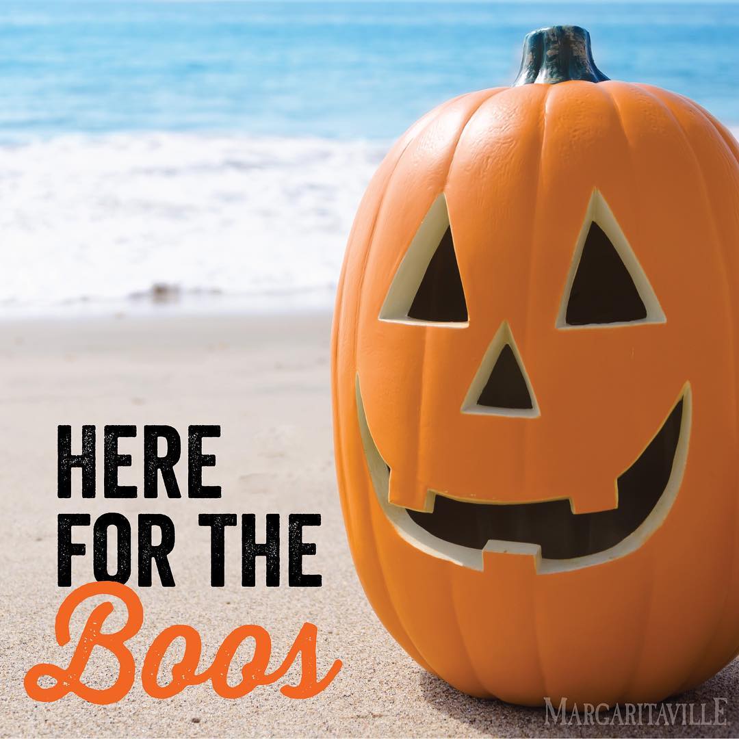 MVilleStore's tweet photo. Our #Halloween motto 🎃 https://t.co/CgUaAhfdWr