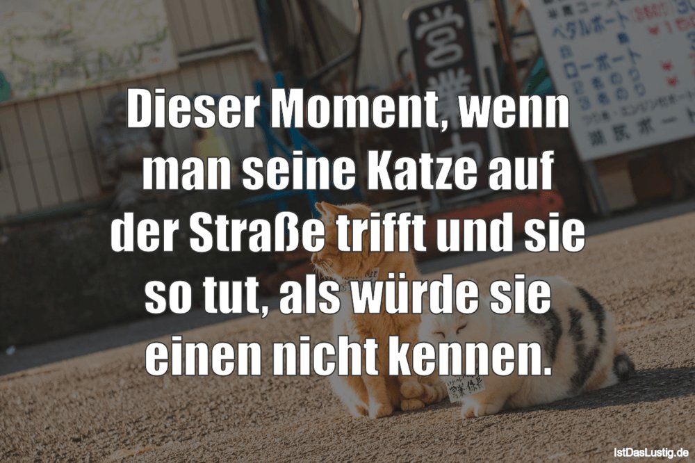 Ist das Lustig on Twitter &quot;Diesen Spruch findest Du auch hier