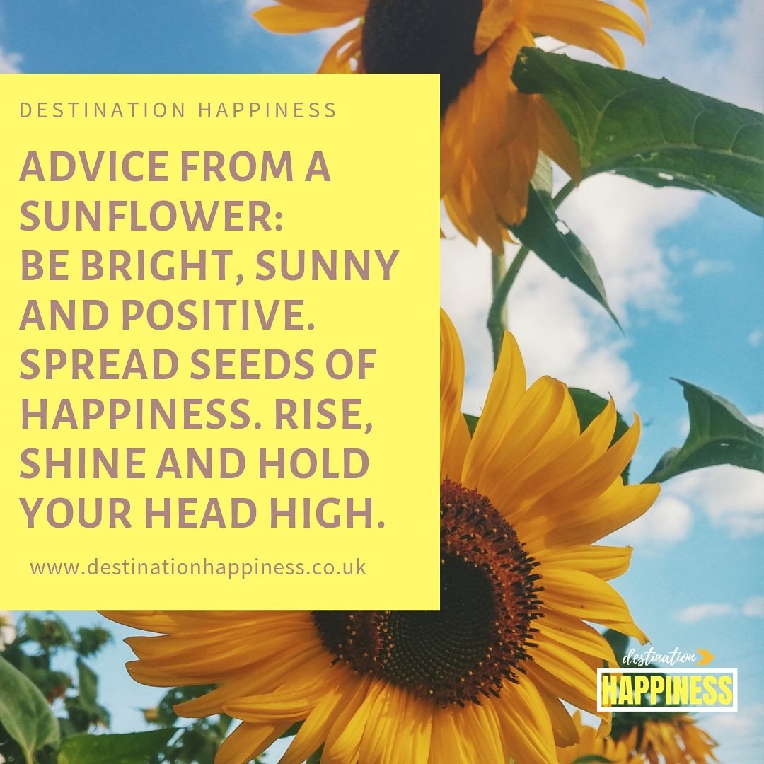 deshappiness's tweet photo. #WEDNESDAY #WednesdayWisdom #wednesdaymorning #wednesdaythoughts #Wednesdaywit #happy #happiness #blogger #blogging https://t.co/Jvi74fMyKc