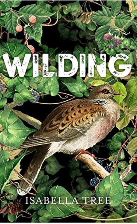So much this week makes me want to bury my head - but I think I might delve into this book again - #Wilding by @isabella_tree. A #Manifestoforchange, with chaotic non-human life at the helm  panmacmillan.com/authors/isabel…