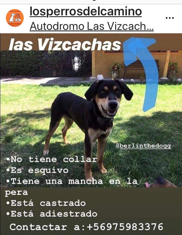 denise bard (@barddenise) on Twitter photo 