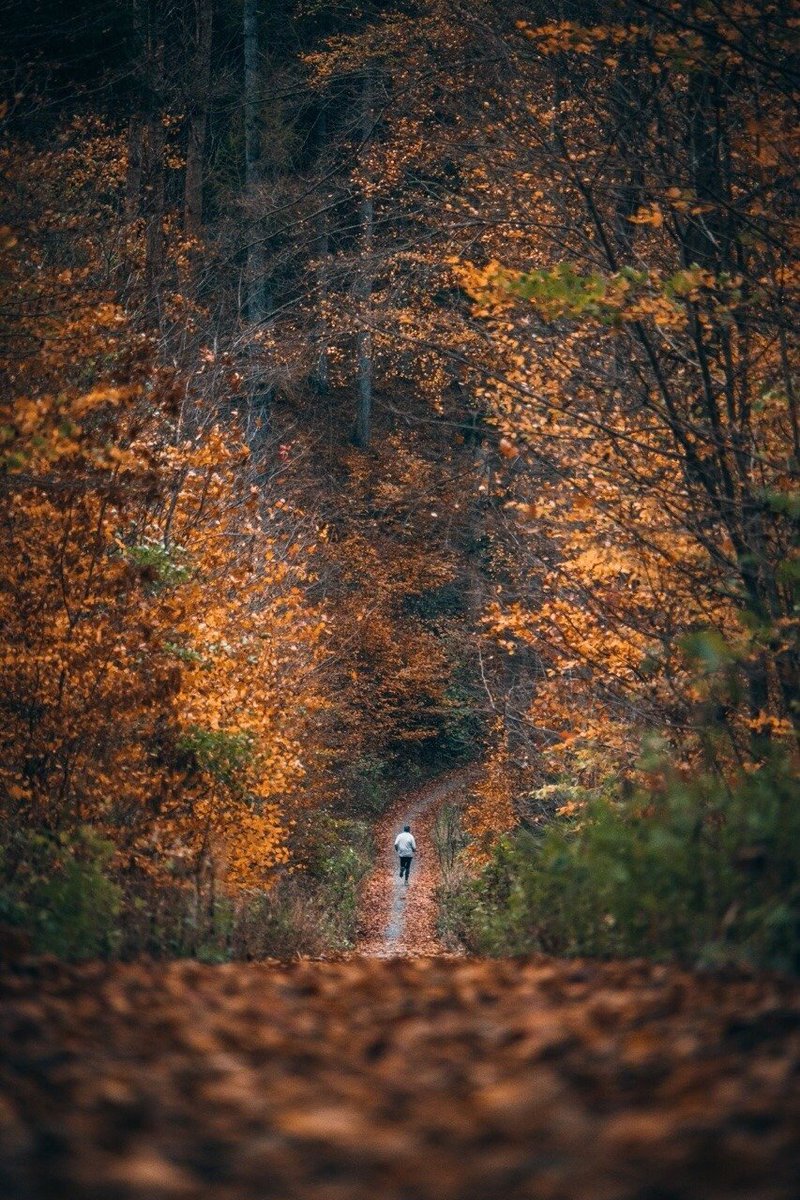 Nothing better than a fall run 🎃