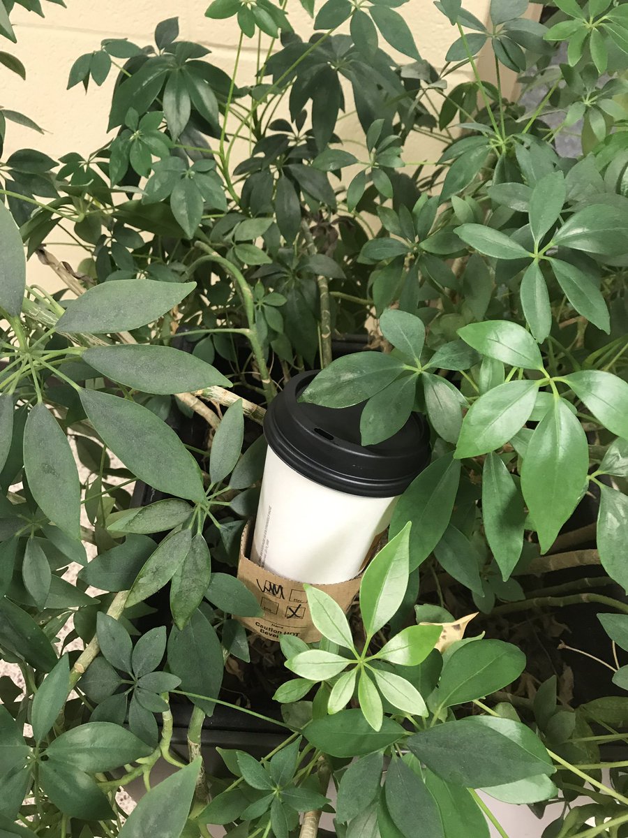 seth_chaney's tweet photo. Need coffee? Get yours straight from source in grise hall floor 4. #student #smmwku @sethcook98 @MJ020703 https://t.co/4rWHdg6MnL