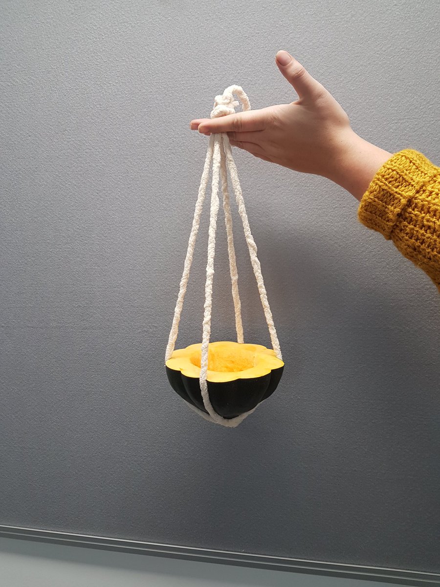 Today we learned about Halloween activities for children. We estimated weight, we measured circumferences and counted seeds. Then we made some fabulous bird feeders 😊