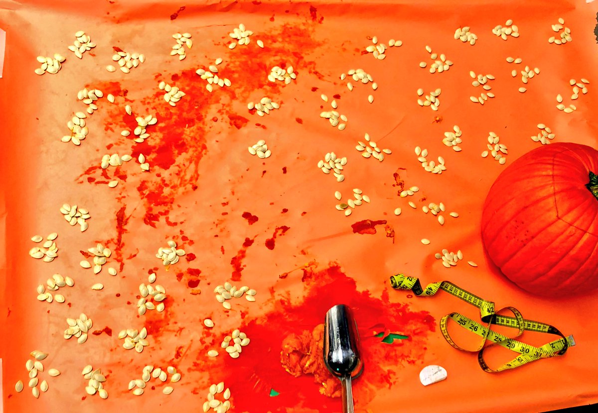 bvschulz4's tweet photo. Pumpkin Math! #GoodButGooey #PumpkinSlime #CommitmentToCounting #bvrox https://t.co/nXP0QNSVV3