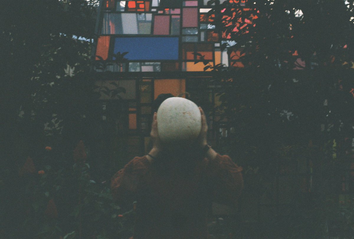 mandapat's tweet photo. I put a spell on you 🎃 #filmfeed #sheshootsfilm #grainisgood #filmisnotdead #believeinfilm https://t.co/REoBdVipiA