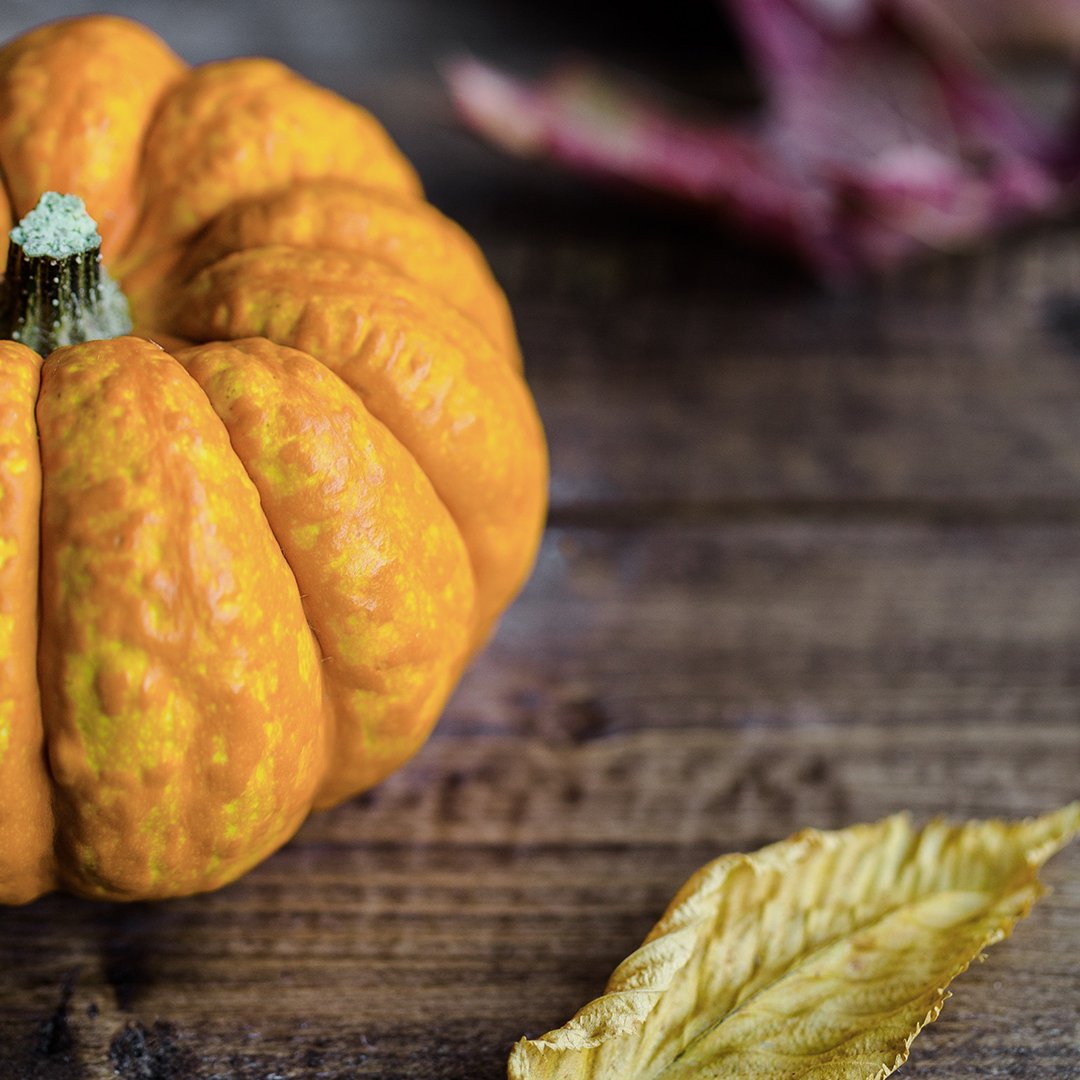 HAPPY HALLOWEEN! At only 2.2g of carbs per 100g, pumpkins can also make a great addition to a low carb lifestyle #pumpkin #halloween #lowcarb #HappyHalloween #trickortreat #Spooktacular #spooky #Halloween2018
