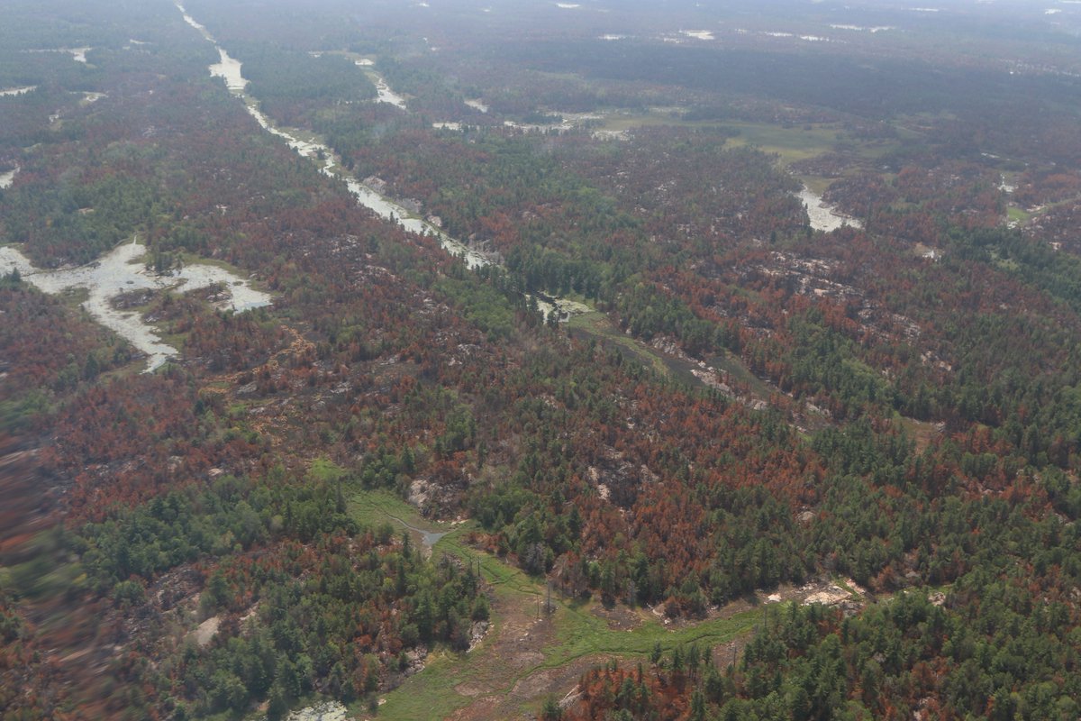 ONforestfires's tweet image. Fire #ParrySound33, which had been discovered on July 18, has now officially been called #out. It measured a total of 11,362.5 hectares. There are no longer any active #forestfires in #Ontario!