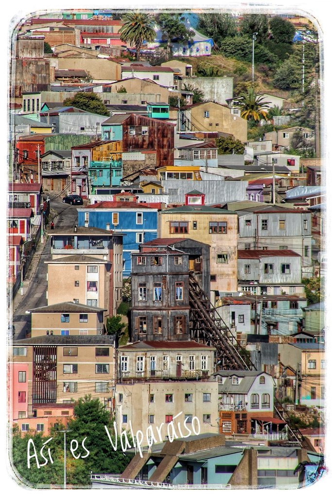 ValparaisoEsasi's tweet photo. Cerro y Ascensor Lecheros...la magia de un ascensor detenido en el tiempo 😊📸🚠
@JorgeSharp @jorgeheinel @Catalina_valpo @TeAmoValpo @RenzoVaccarezza @hidrovalpo @ChileisCool #valparaiso #cerrolecheros #ascensorlecheros https://t.co/Qf5JOMhDns