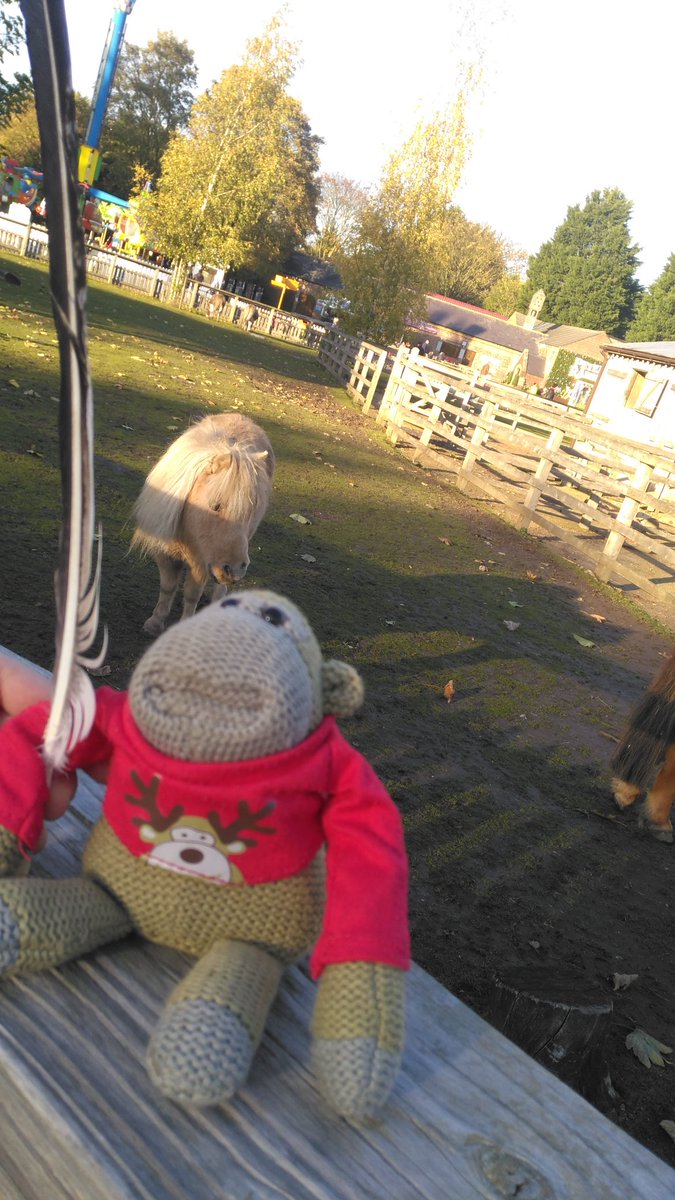 AdventuresPg's tweet photo. #ponies &amp; #tipsontour 
Story right there @davidwalliams 
Any room for the cameo yet? @AdventuresPg @flamingolanduk 
#gotafan https://t.co/dzKnyIuKaP