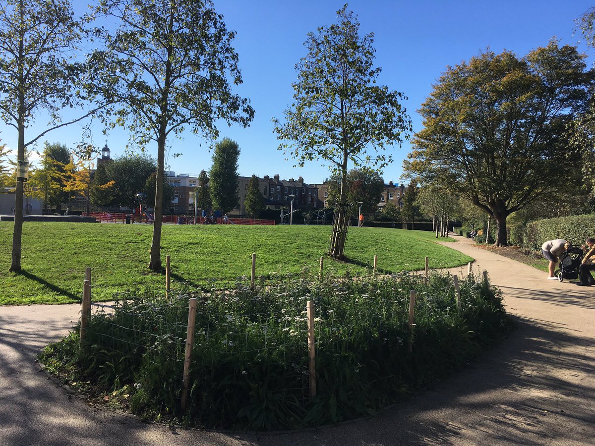 Beautiful #autumn weather today in #camden Cantelowes with leaves on the trees starting to glow in autumnal colours.
#urbangreeninfrastructure 
#greenspace 
#parksmatter