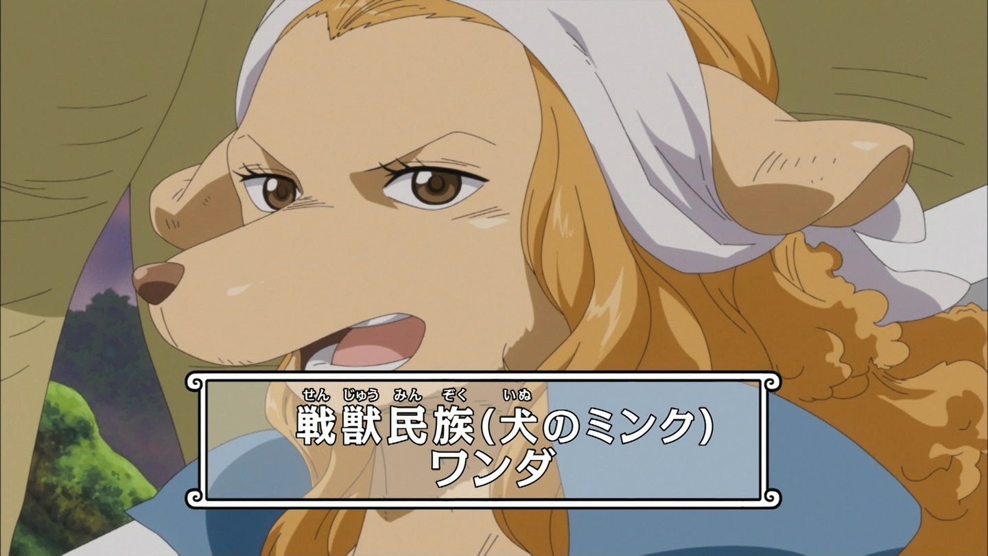 嘲笑のひよこ すすき Ar Twitter 本日11月1日は One Piece の犬嵐銃士隊の一員 犬のミンク ワンダの誕生日 おめでとう Onepiece ワンピース ワンダ生誕祭 ワンダ生誕祭18 11月1日はワンダの誕生日