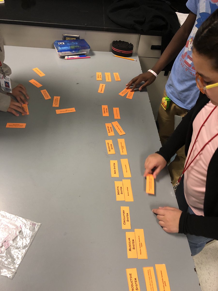 Group review to prepare for our upcoming body systems quiz! We WILL be successful! #science #siop #odms #collaboration  👩🏽‍🏫 🔬 ❤️