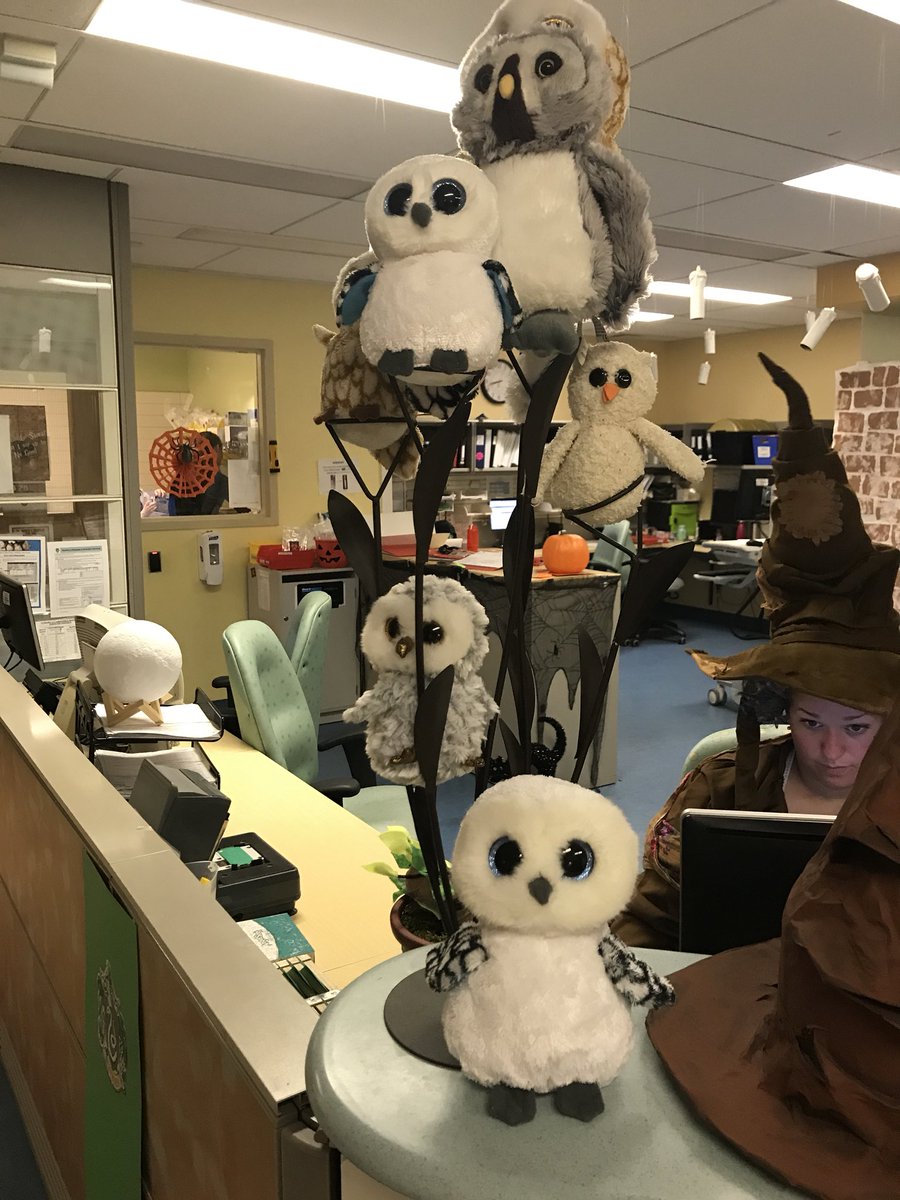 amyncranston's tweet photo. The Wizarding World of Harry Potter, a collaboration between Ward 3B2 and 3F’s Pediatric Oncology Program! We worked magic to make our patients smile. #myHHS @HAMHEALTHSCI @mch_childrens 🎗🎃🕷⚡️✨💫 https://t.co/3QWEH6rdKl