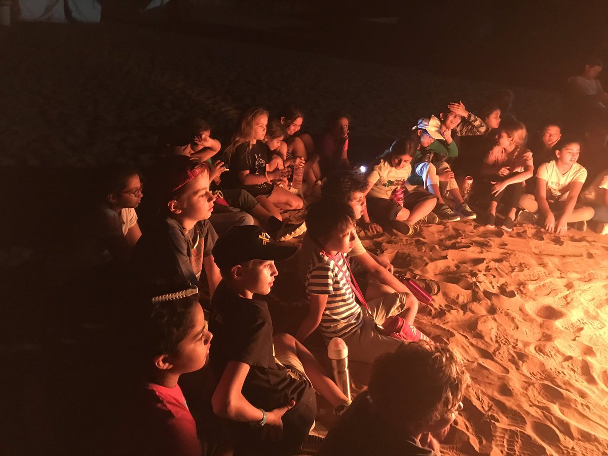 RWA Grade 5 tweet media