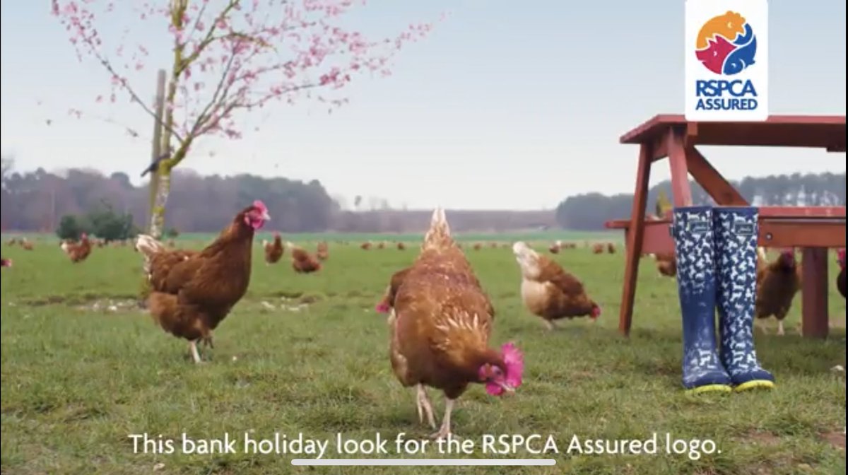 Sarah On Twitter Rspca Assured Farms Adverts V Reality