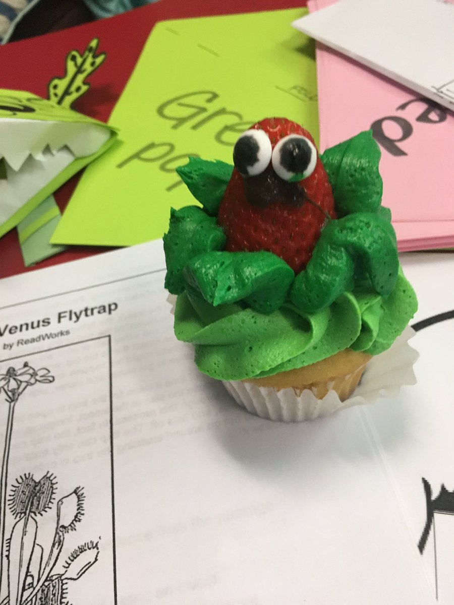 rmray05's tweet photo. Reading across the curriculum.  Pulling it all together today! #teamDCS  #ogcetigerpride #makingourmark https://t.co/CXSrLOG47D