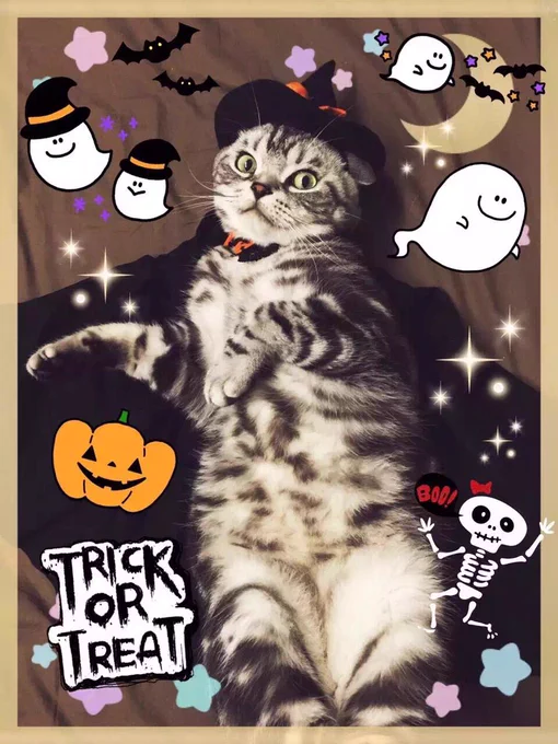 🎃 
