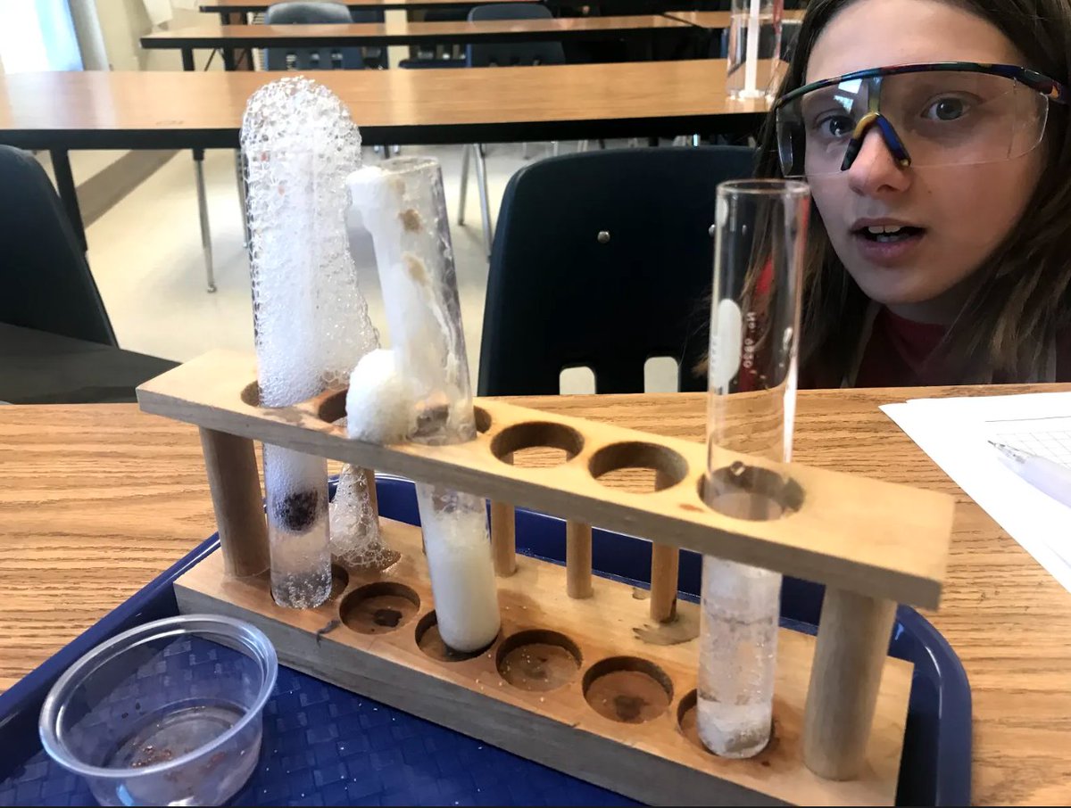 _BMSHornets's tweet image. Liver, Potato, and Yeast Reactions. Students observing chemical reactions and endothermic and exothermic outcomes. #bmsscience #bryantschools